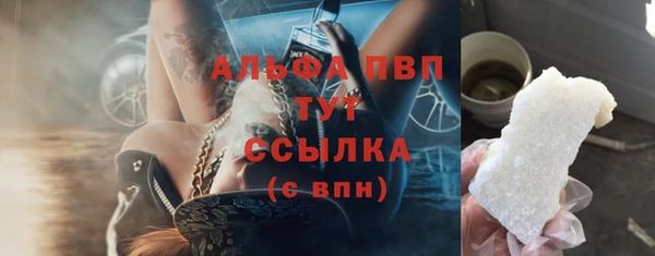 СК Аркадак