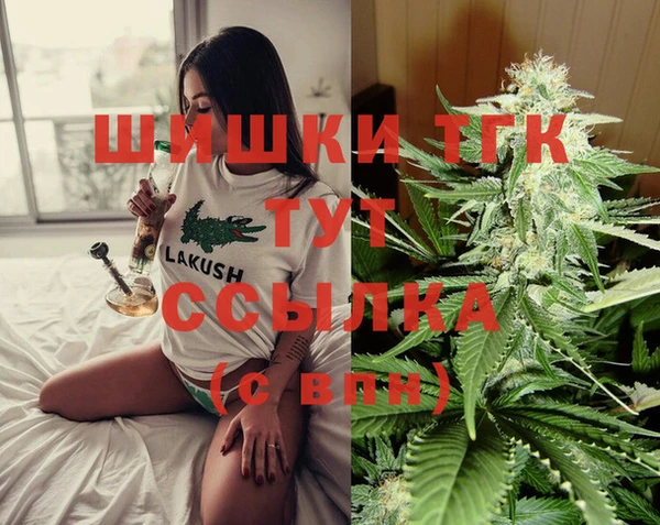 СК Аркадак
