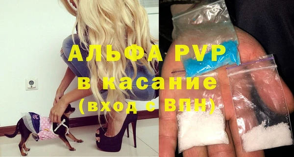 СК Аркадак
