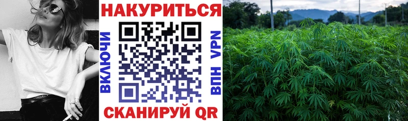 ОМГ ОМГ   Лахденпохья  Канабис семена 